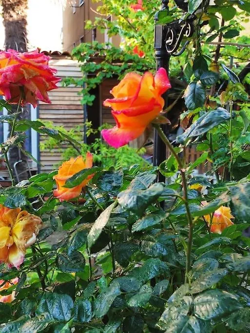 Appartamento Rustico Con Giardino E Parcheggio Gratuito Imperia Italy