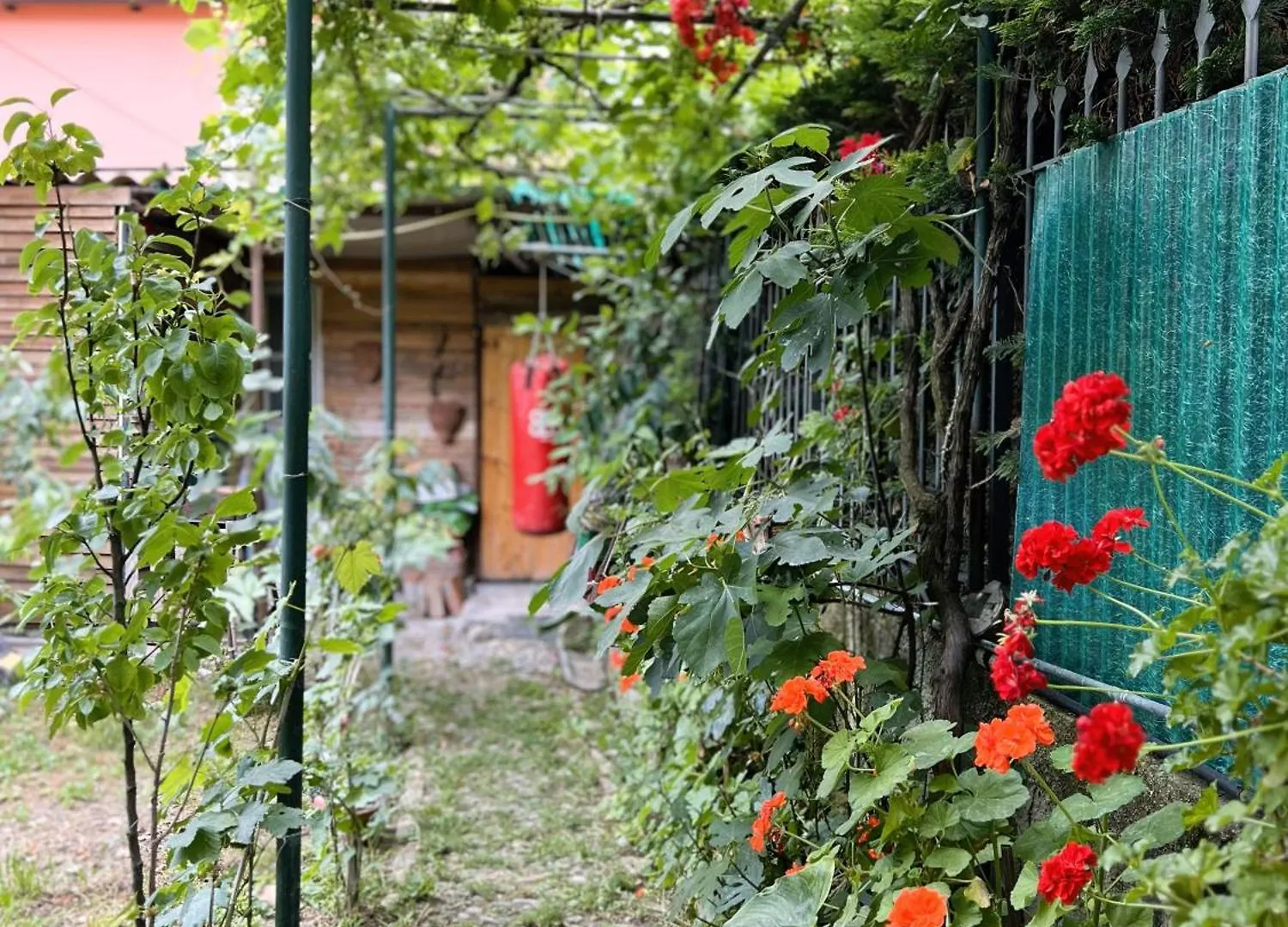 Appartamento Rustico Con Giardino E Parcheggio Gratuito Imperia Apartment