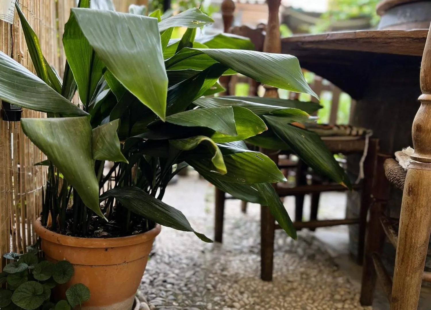 Appartamento Rustico Con Giardino E Parcheggio Gratuito Imperia